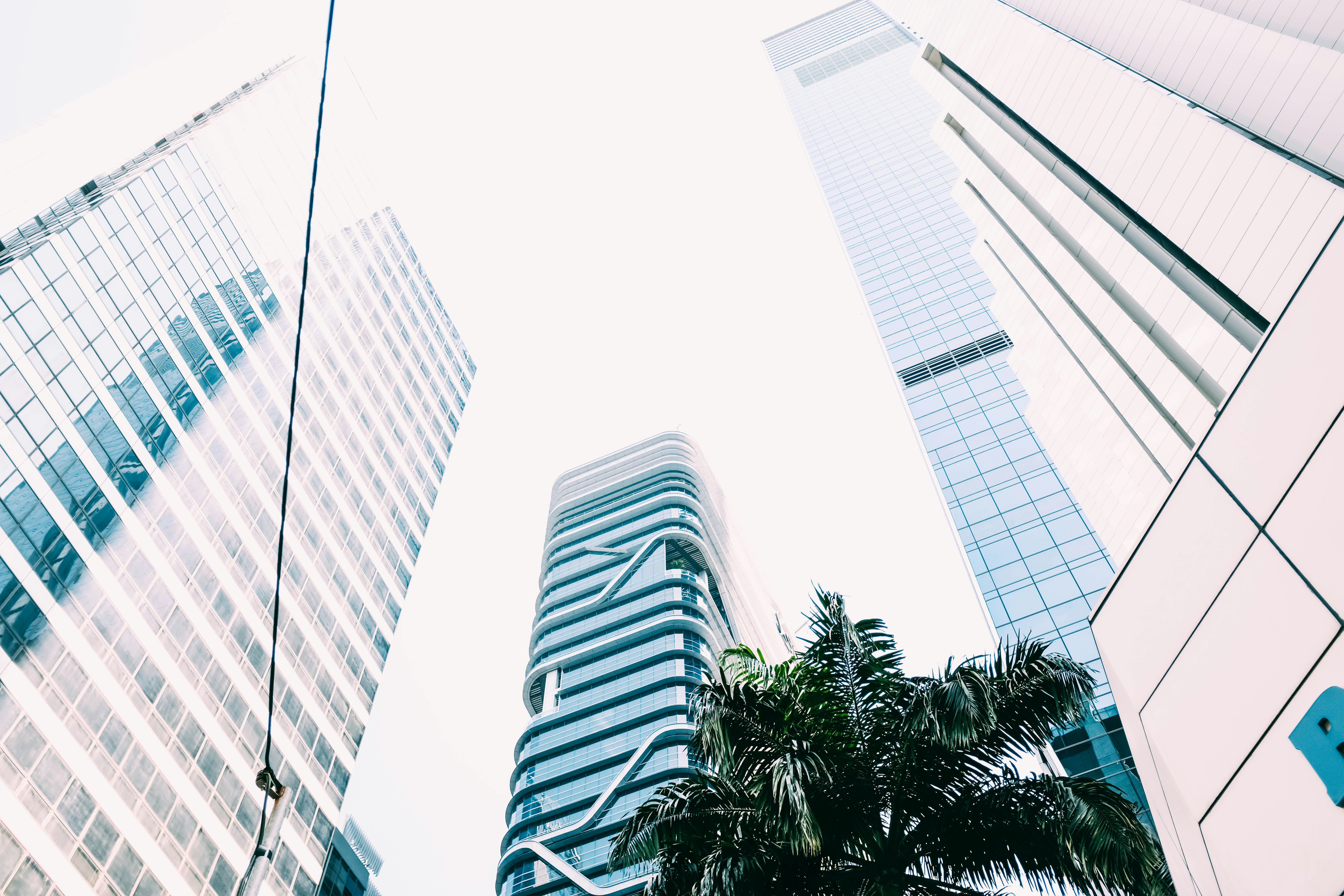 low angle photo of high rise curtain wall buildings